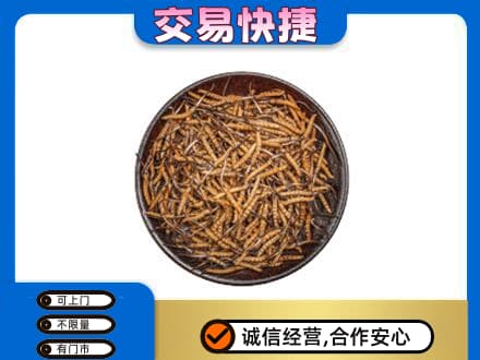 三亚高价回收散虫草