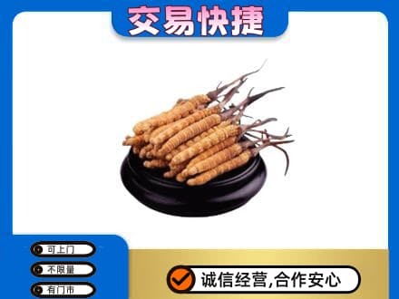 三亚礼品回收散虫草.jpg